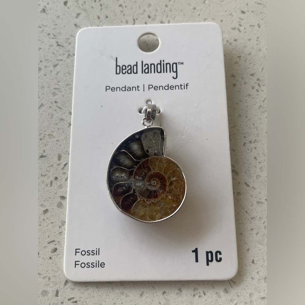 Ammonite Fossil Pendant